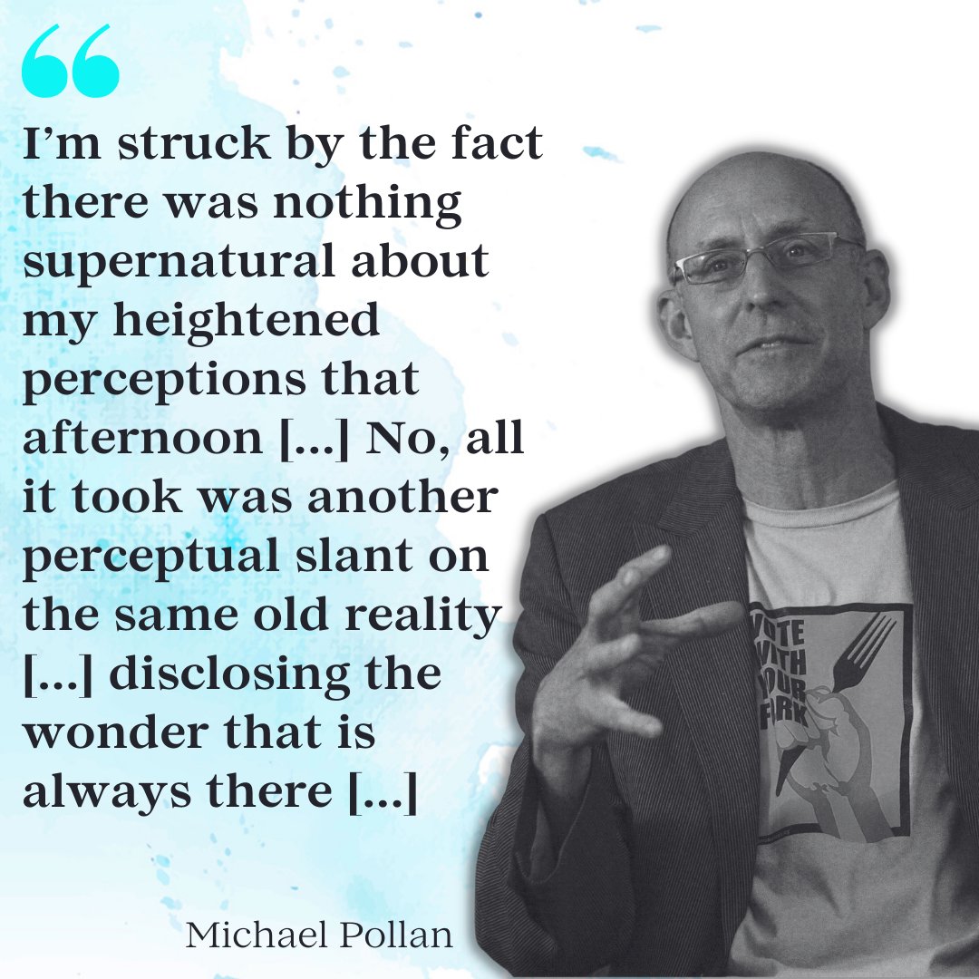 PsytechGlobal's tweet photo. The beauty of psychedelic therapy is in its simplicity.

#psytechglobal #michaelpollan #psychedelics #psychedelicmedicine #psychedelicresearch #psychedeliceducation https://t.co/bqkRuRk8Po