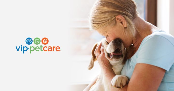 psp9024's tweet image. VIP Pet Care will at the Albany store today from 1pm - 2:30 !! 🐶💓

Convenient and affordable just right around the corner at your local PSP 💚

#vippetcare #minusthehassle #pspAlbany