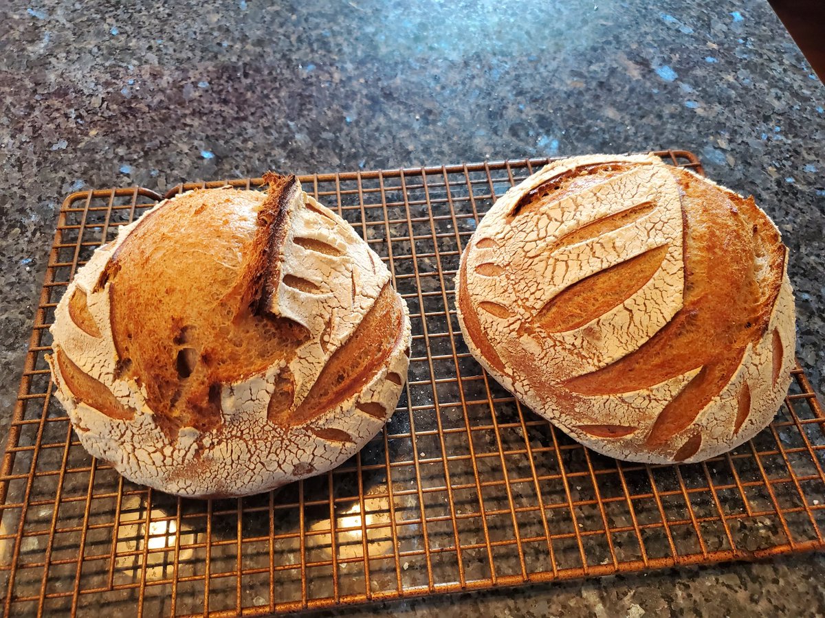 SilentH_216's tweet photo. Irrationally elated about making my first #sourdough #bread . Huge thanks to @tompapa and his #gettingbaked series in YouTube. https://t.co/W4GbKcazcr