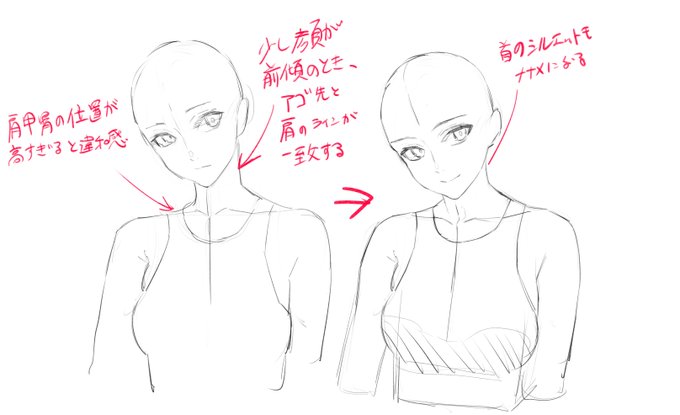 今日気づいた、首と肩の描き方メモです 