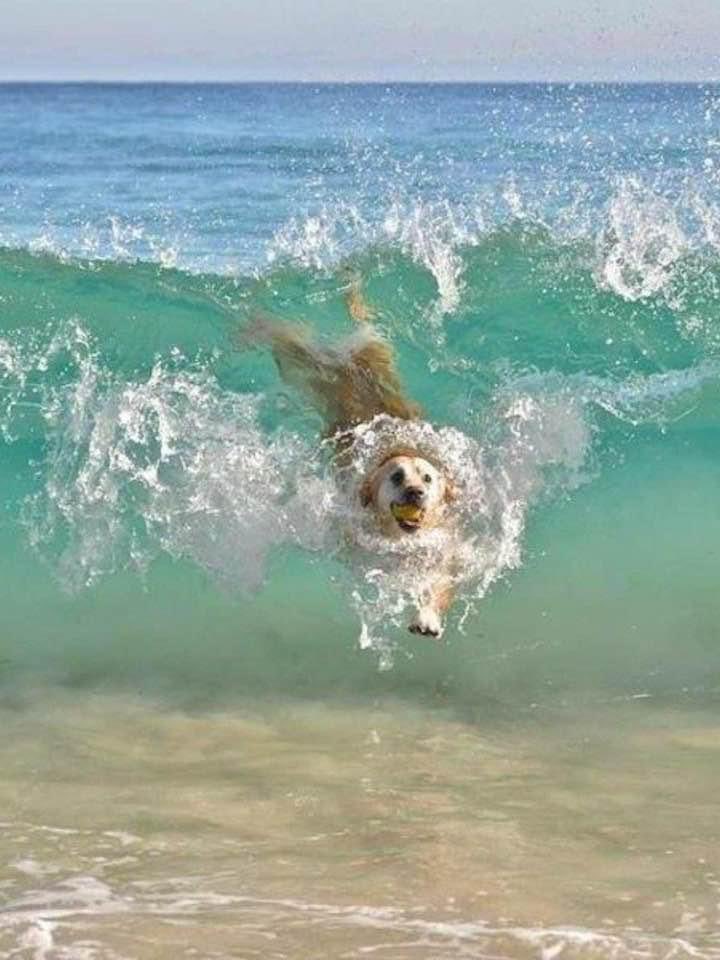 Hoy conocí la envidia.