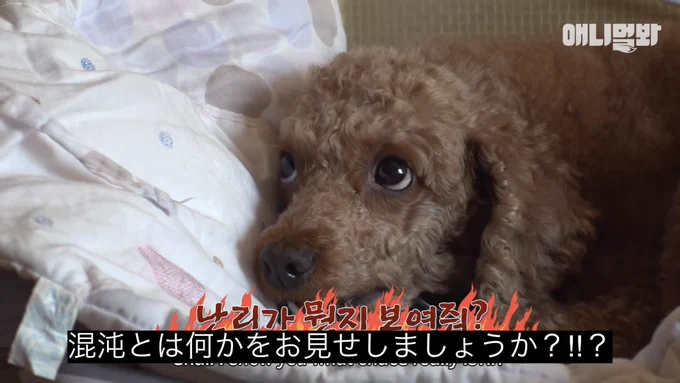 あとの祭りHO4貰いました!!!!!!!!!!!!!!!!!!!!!!!!ワッハッハ!!!!!!!!!!!!!!!! 