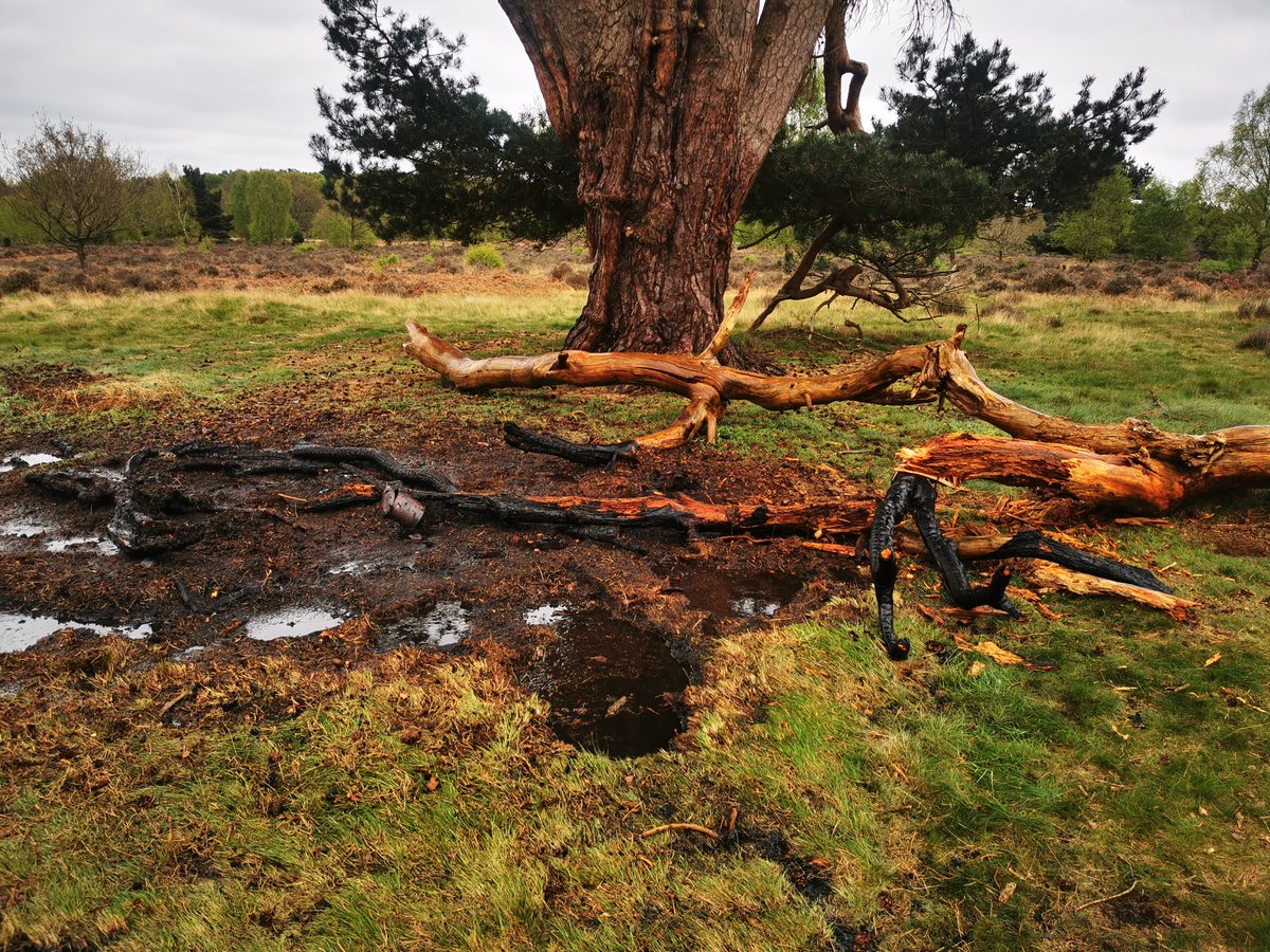 Deliberate unwanted fires cause damage to the environment and have a very large impact on resources <a href="/nottsfire/">Nottinghamshire Fire and Rescue Service</a>. This one near Budby in <a href="/RSPBSherwood/">Sherwood Forest</a>  forest caused by a campfire being lit had 2 appliances in attendance for over 2 hours,  due to its location.