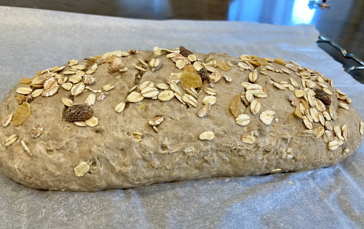 KrisBlackRose's tweet photo. My doggie is not doing well so today I could not leave the house, caring for him… so I bake my own bread 🥖. #homemade #multigrains #bread Just going into the #owen. https://t.co/JxiYCY9BjD