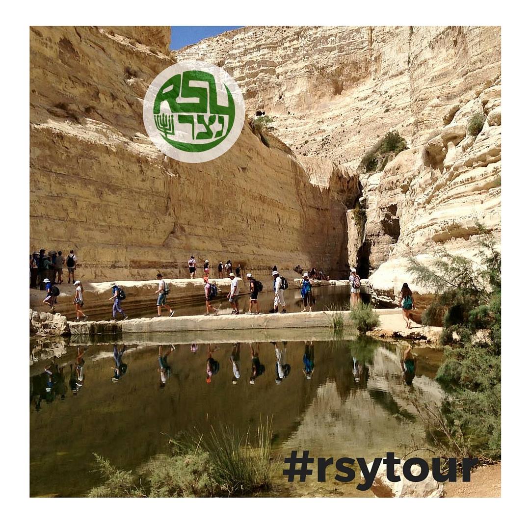 RSY-Netzer tweet media