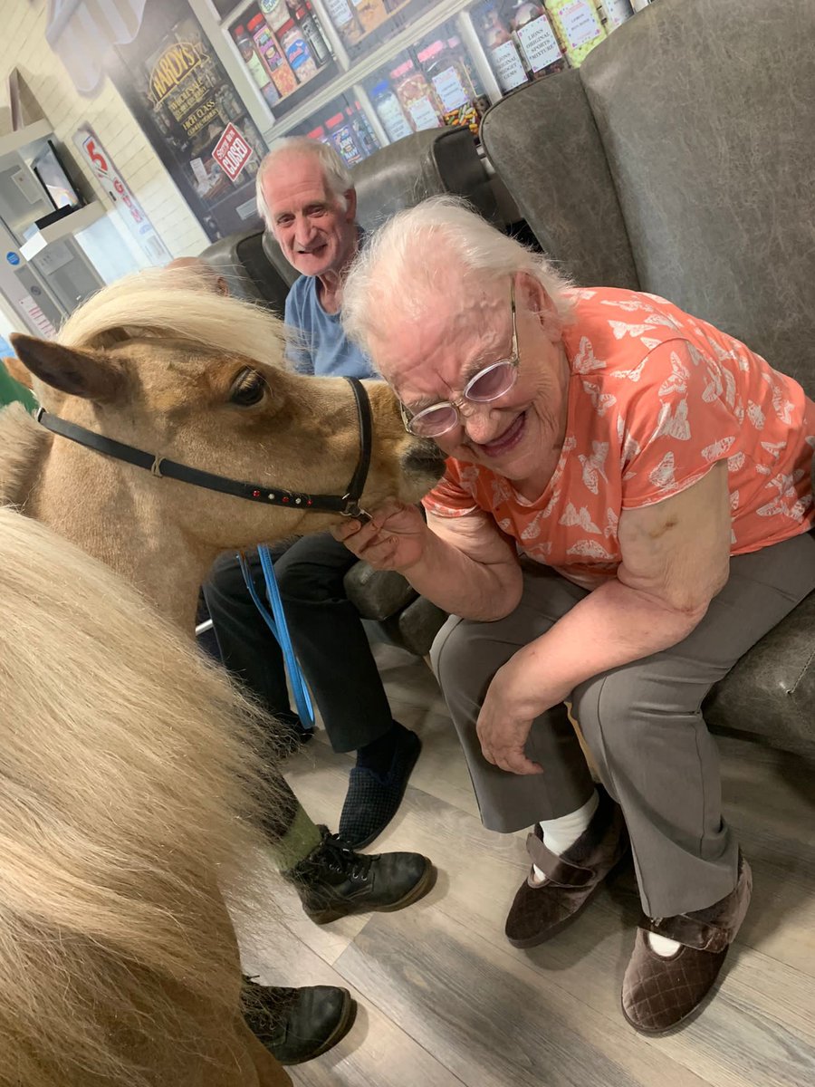 fellingatecare's tweet photo. A ray of sunshine in #Fellingate ☀️ 

Our residents were delighted to have a visit from Sunshine an American miniature.

Huge thank you to Laura, our Activities Co-ordinator and KL PONY Therapy for bringing smiles to everyone’s faces 💛 

#pettherapy #activities #gateshead https://t.co/ydHjy1k2Gd