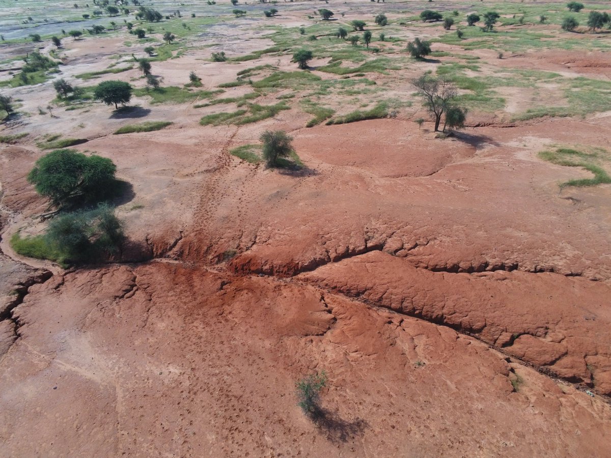 s_taugourdeau's tweet photo. Nouvel article utilisation de la photogrammétrie pour le suivi de la végétation au cours de la saison et du paysage jusqu’à l'échelle nationale à partir d'appareil photo et drone  https://t.co/JYcoTC99Lc @SelmetUmr @dP_PPZS @Cirad @ISRA_Senegal #uav @Ecol_Evol https://t.co/TA60I90BH0