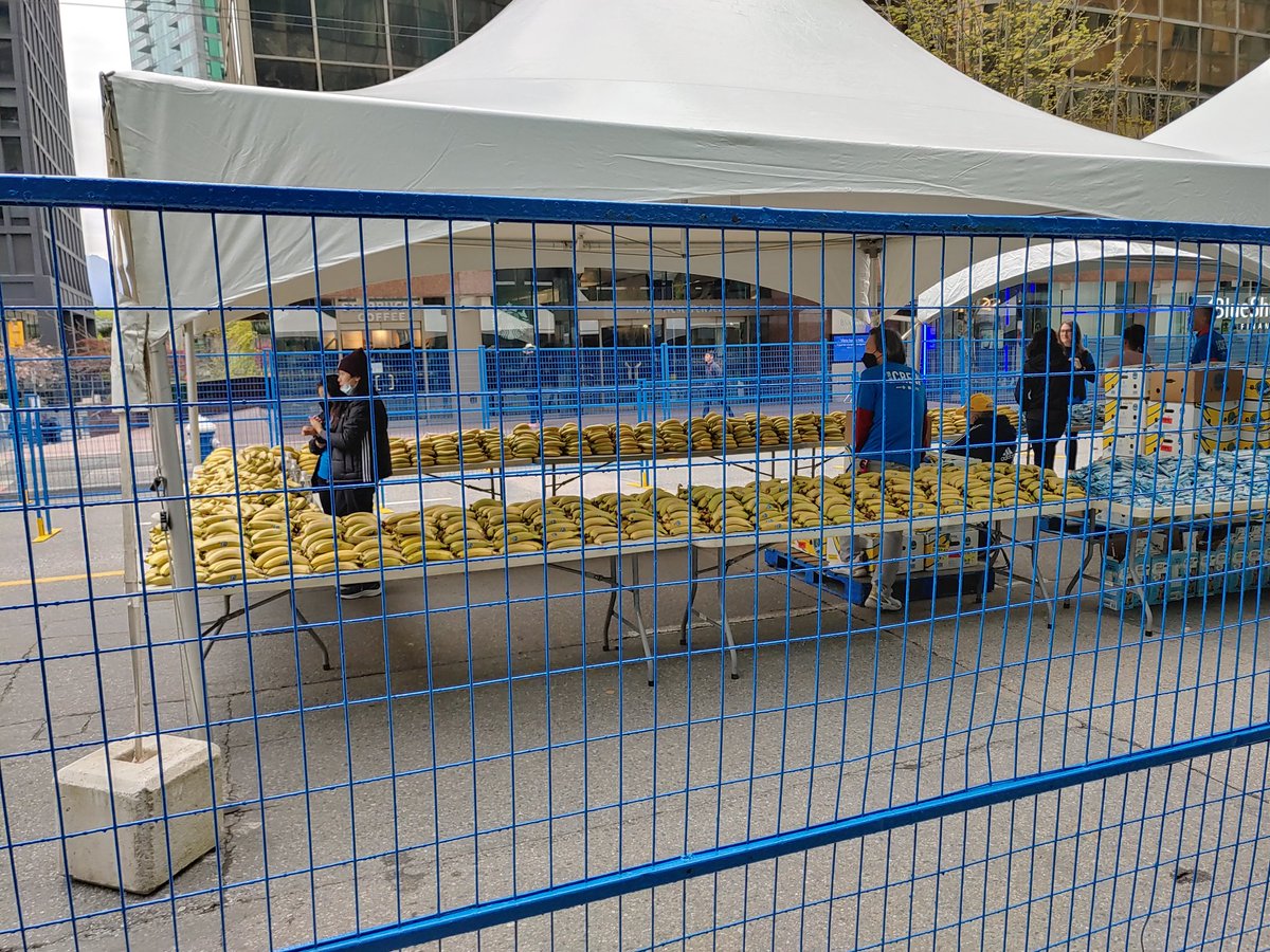 stephenbraverm1's tweet photo. At the Finish Line of the @BMOVanMarathon to cheer on participants.
West Pender Street at Bute Street.
I'm running late and so is the race.
Slept in til 6 a.m.
That's sleeping in for me.
Go runners go! @runvancanada #StayActive #StayHealthy #VanRun https://t.co/KD5uwomE3b