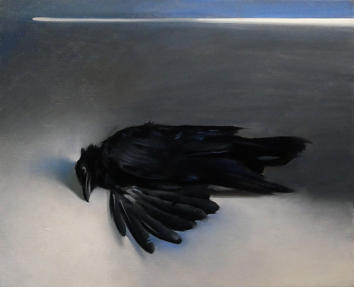 Crow, oil on canvas
#oilpainting #Painting #crow #bird #stilllife #bidegon #academicpainting #afterdeath #realism