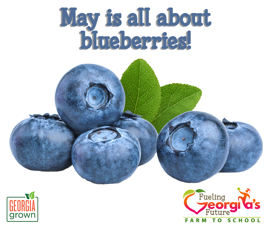The Georgia Harvest of the Month feature item for May is Blueberry!

Visit bit.ly/GaHOTM to access resources for celebrating #HarvestoftheMonth and growing your #FarmToSchool program. While there check out our #FoodBasedLearning Lessons too!

#FuelingGA #GeorgiaGrown