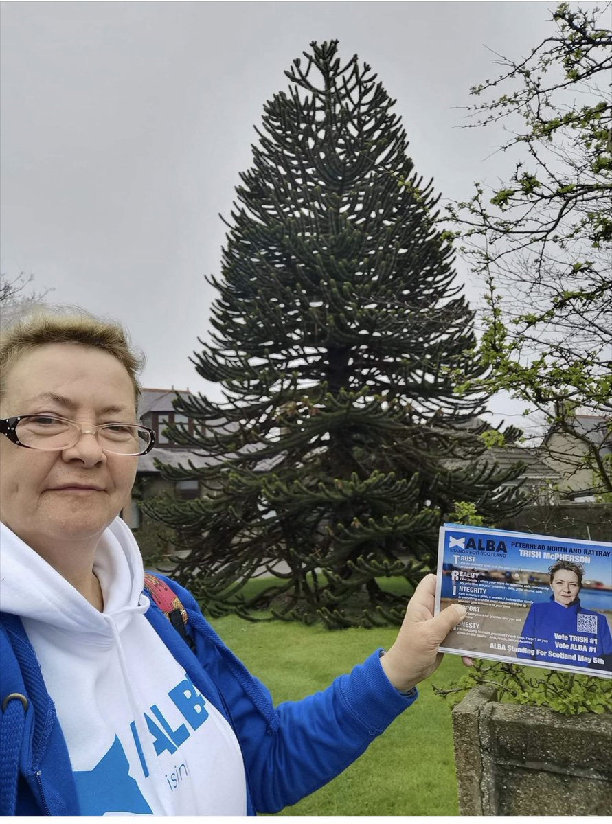 AlbaAberdeenshr's tweet photo. Alba Candidate Trish McPherson(Peterhead N &amp; Rattray) in Peterhead leafletting, the 40 year old Monkey tree is well known in the area, the owner kindly gave Trish a seed cone. #VoteTrishMcPhersonNo1 #NotoselfID #AlbaForIndependence https://t.co/mnIVKlIysf
