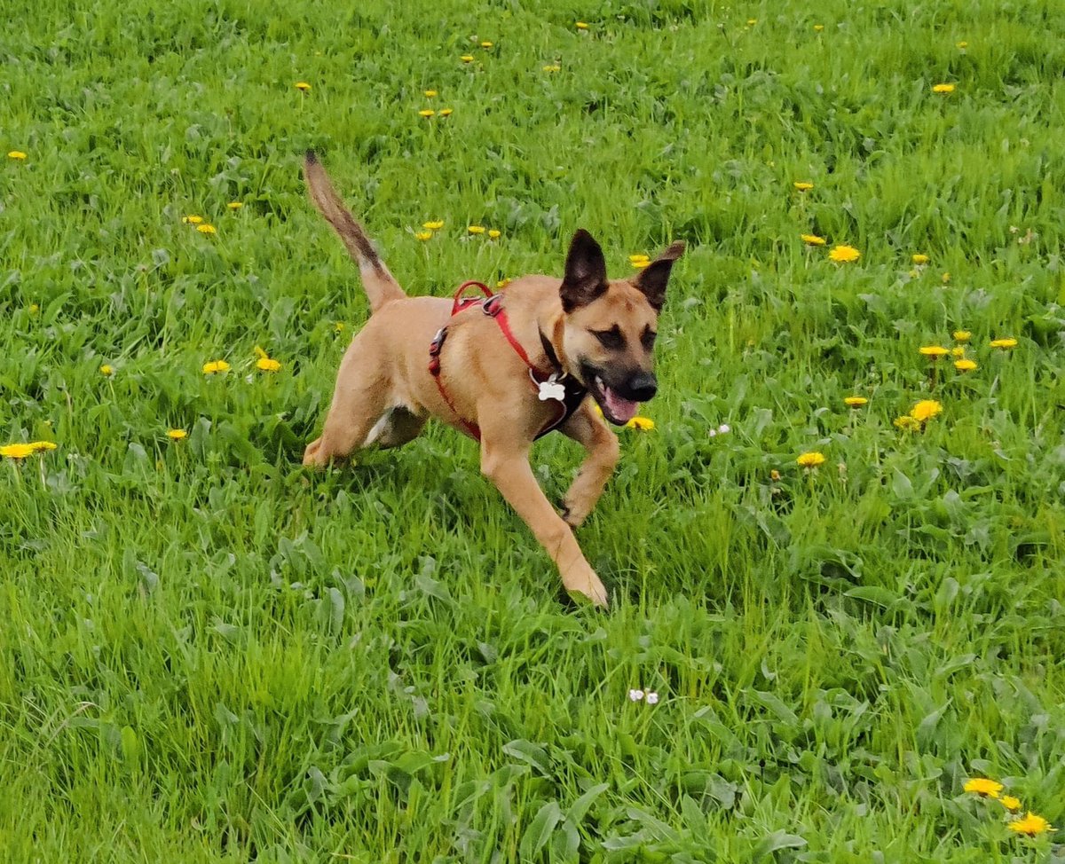 5 months old today and loving life 🥰😍