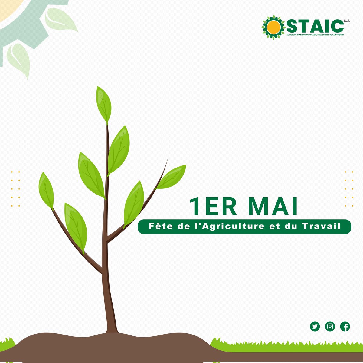 STAIC01's tweet photo. Bonne fête de l'agriculture et du travail à tous...
Design by @pierre.montas
#1ermai #agriculture #travail #fetedelagriculture #staicsa #haiti🇭🇹 #haitianbusinesses #work #agricultureworldwide #promotions #bio https://t.co/vpdO6YdqYd