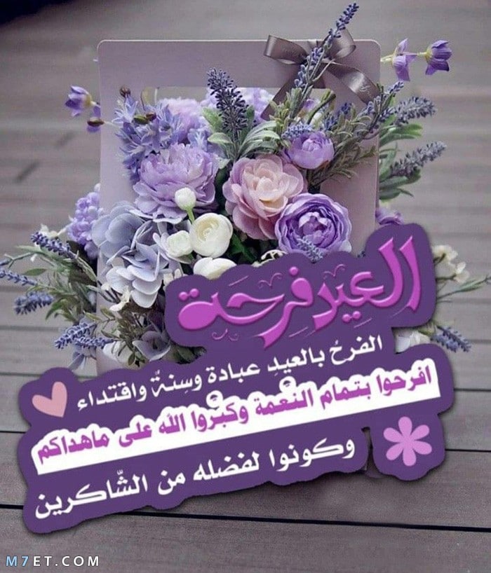 الزعابي🇴🇲 tweet media