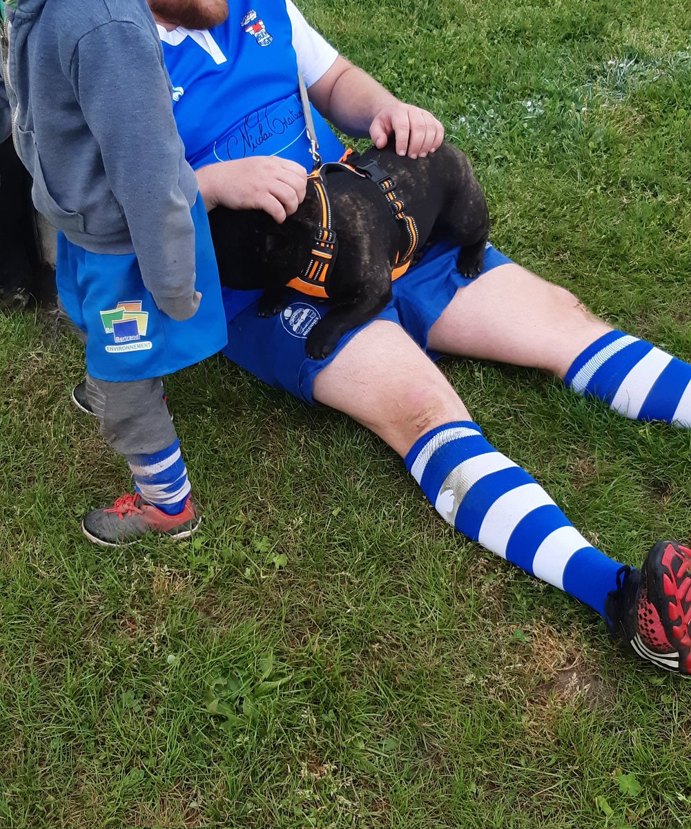 Scar_doggo's tweet photo. C'est trobien le rugby 🥰
Surtout quand les popains sont fatigués 🙄 https://t.co/IiBlpGXj4H