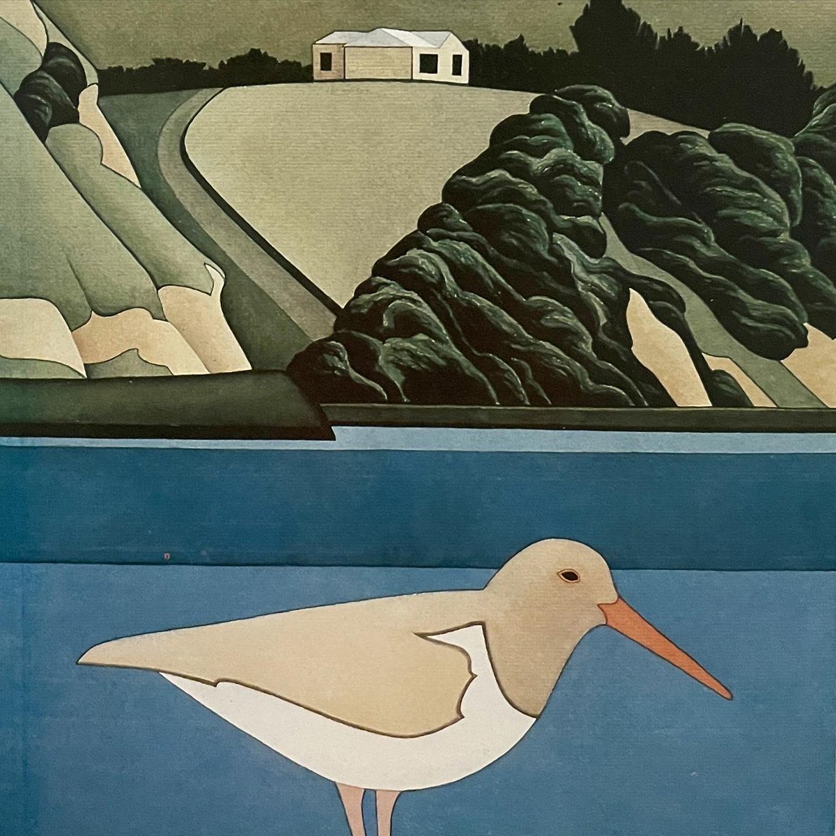 sarahjane_moon's tweet photo. Robin White at Tauranga Art Gallery: ‘Goodbye Bay of Plenty’. Images are details from prints & publications. So brilliant to be reminded of these quintessentially kiwi images. Particularly love the birds.
#taurangaartgallery #robinwhite #nzart #bayofplenty https://t.co/bNaU4J8KCZ