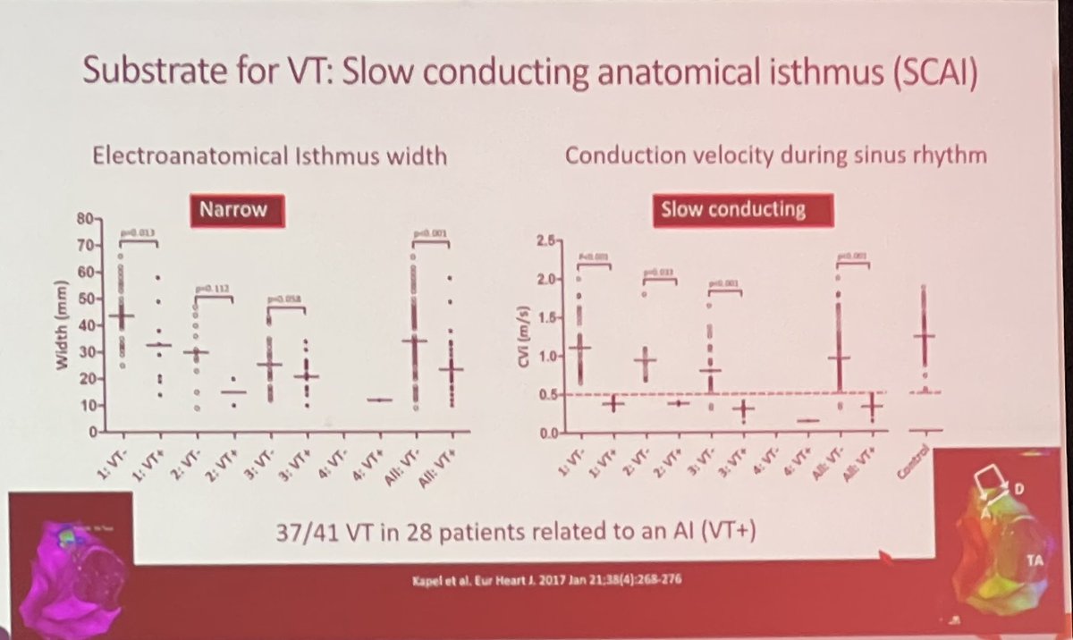 Jeffrey M Vinocur tweet media