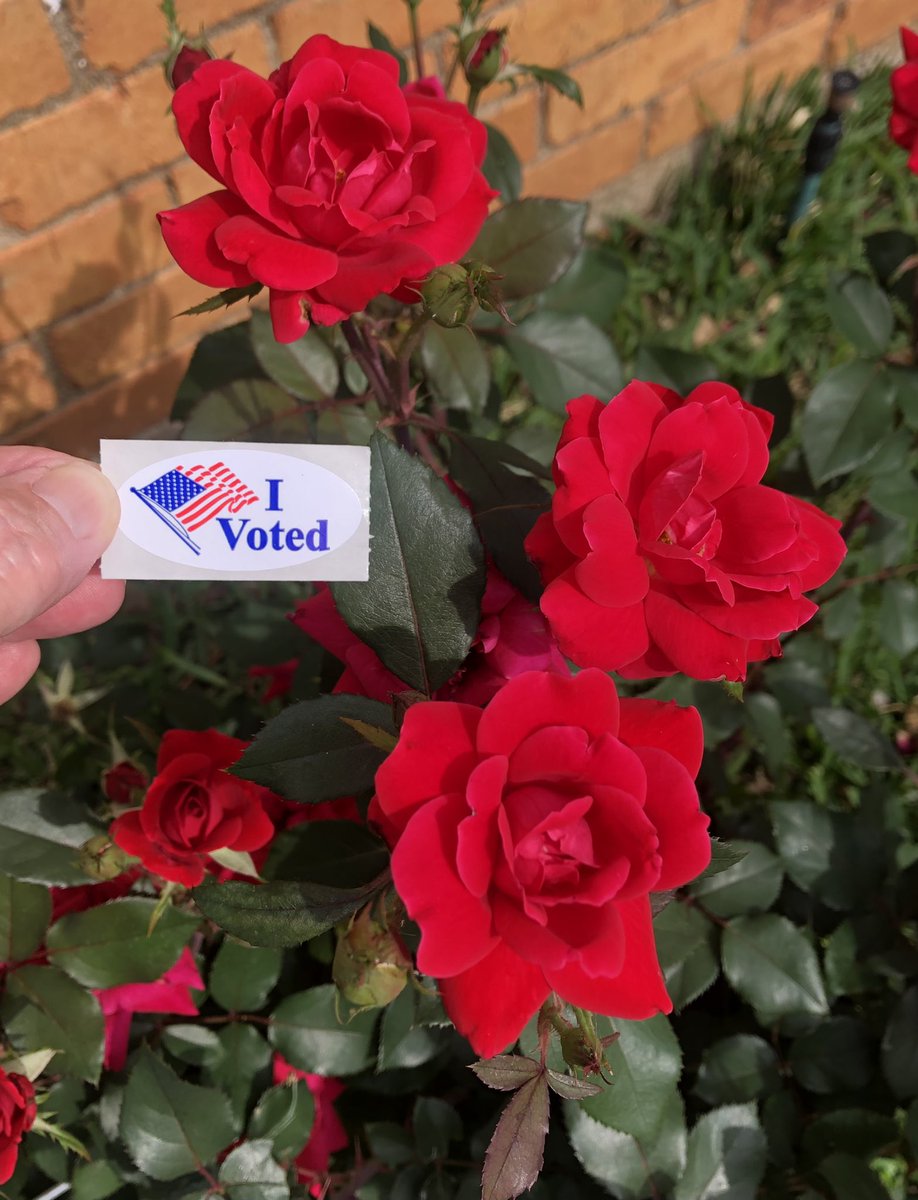 Beautiful day for freedom and for the right to VOTE!