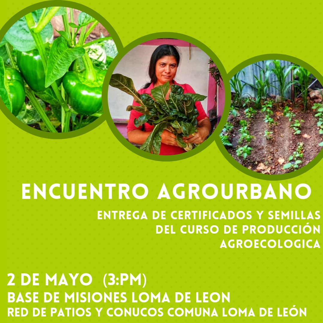 MontilvaYali's tweet photo. La #RedDePatiosProductivos #Conucos en la #ComunaLomaDeLeón, invitamos al Encuentro Agrourbano, cierre de nuestro 2do Ciclo de Formación en Producción Agroecologica
Día: Lunes 2 de Mayo
Hora: 3pm
Lugar: Base de Misiones de Loma de León.
Cultivamos Vida, Cuidados y Soberanía https://t.co/TJoLaPP6O9