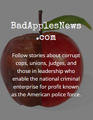 JAGJointAuthors's tweet photo. COMING IN FALL 2022!
COMING IN FALL 2022!
COMING IN FALL 2022!
AMERICA WILL NEVER BE THE SAME.
#badapplenews #badapples #ACAB #criminalcops #policecorruption #policebrutality #killercops #coverups #copgangs #kkk #whitesupremacy #justicesystem #enoughisenough https://t.co/DXbL9DFFJb