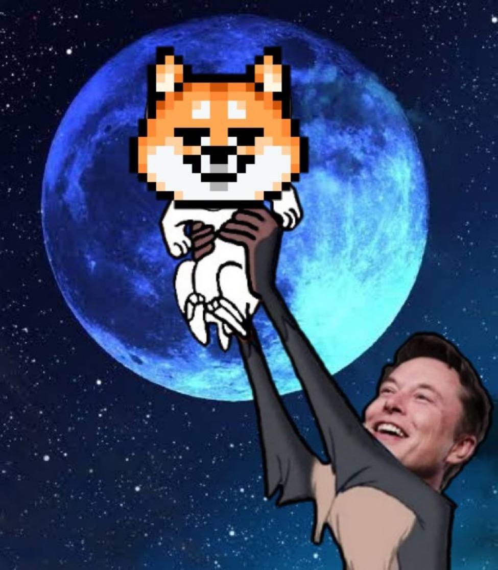 iamgagav's tweet photo. Coming soon for @dogsofelon NFT holders..a #doemarketplace to compare rarities/traits & eventually trade #nfts using $DOE
The time is near…p2e game, #DOEcraft…and MORE! 100x potential for both token & NFTs🔥
#JUSTDOEIT #doetoken #doenfts https://t.co/no4iG110ub https://t.co/cSRWXtG2VI
