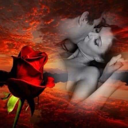 Bütün  bayanların bayramını amını götünü  yalarak emerek kutlamak istiyorum  bayramınız kutlu ve mübarek olsun