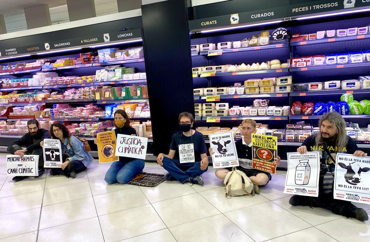 AnimalRising's tweet photo. Yesterday @AnimalRebelionB took the message of animal and climate justice to their local supermarket.
Less meat is not enough.
We need governments and corporations to #defundmeat
We need a transition to a just and sustainable plant based food system now! https://t.co/vjsSpc5epl