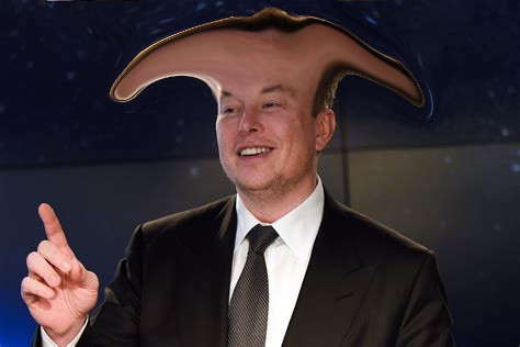 EvilElonNFT's tweet photo. welp. 10 Evil Elons down. 490 Evil Elons to go. Mint yours right meow.

wen @elonmusk 

#NFTCommunity #nftart #nftartists #nfts https://t.co/bx2EV2duk7
