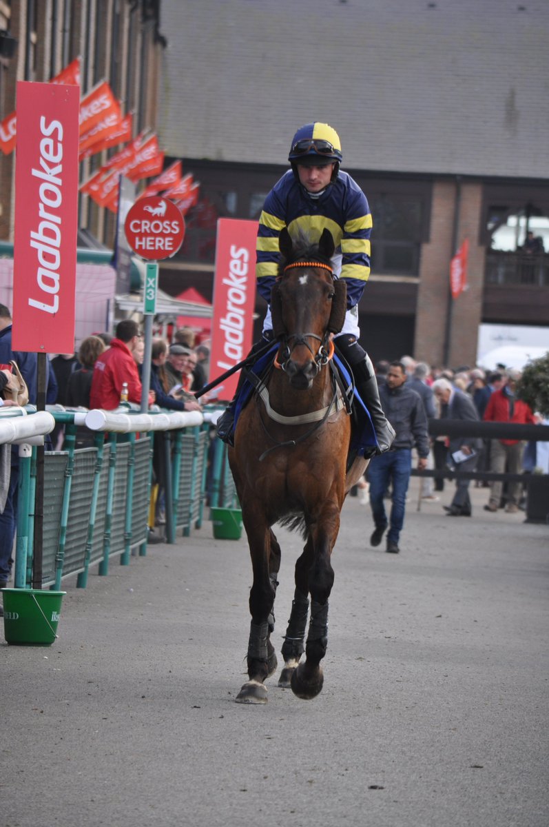 PCequinephoto's tweet photo. BALLYBOKER BRIDGE trained by @pmaherracing PUNCHESTOWN 28-4-22 https://t.co/TZF3Eg2U58