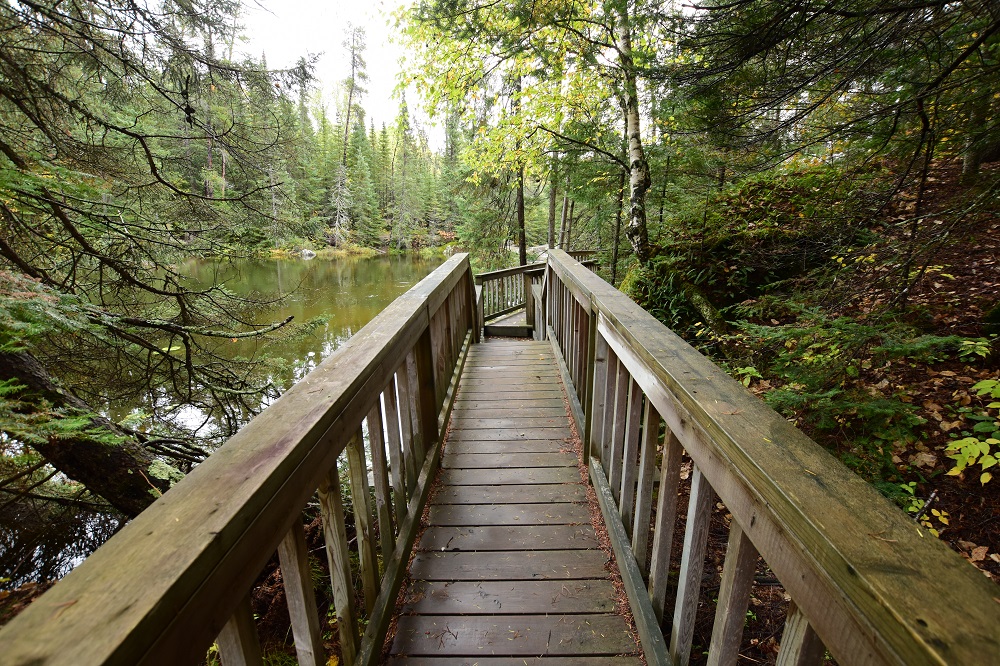 OntarioParks's tweet image. Hiking makes you happier! 🌲 

Nature walks help combat stress while improving mental well-being. #HPHP