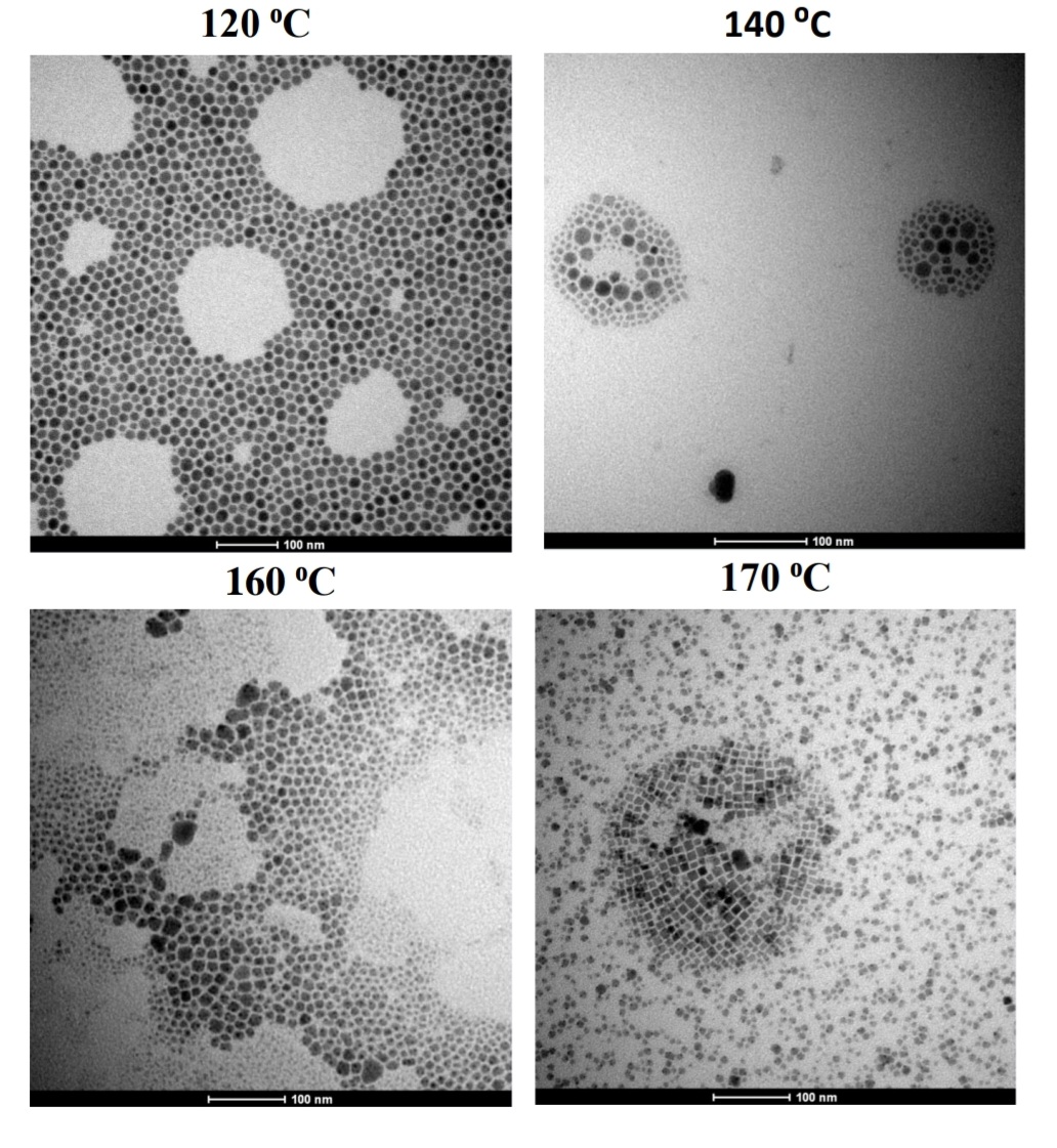 Congratulations to our undergrad Anastacia De Gorostiza for winning the AIChE Regional Poster Competition for her work entitled "Understanding the Nucleation &amp; Growth of CsPbI3 Nanocrystals"!