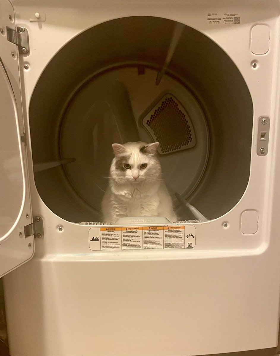 weirdlilguys's tweet image. 