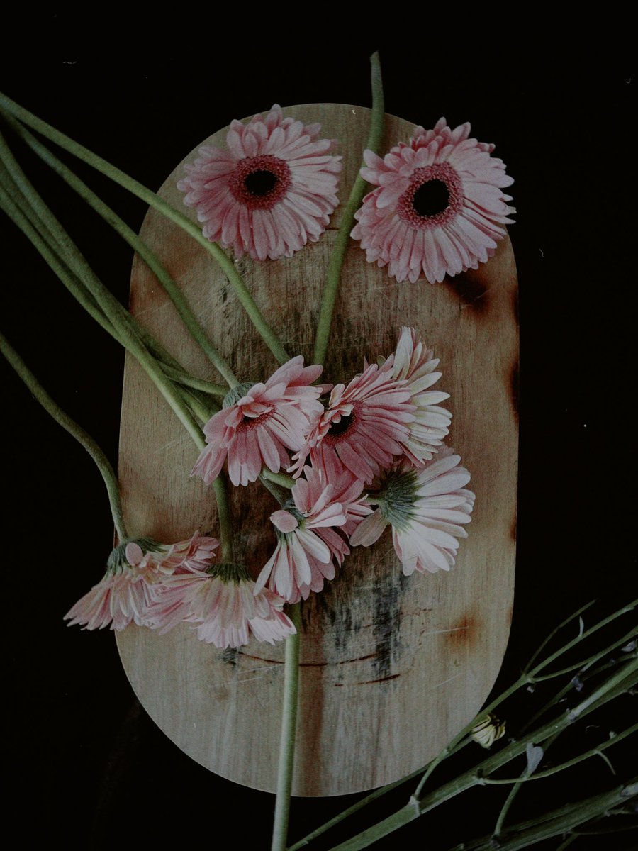 Bts new #nft «virgin flowers» #nftart <a href="/artist_hungry/">DELETED</a>