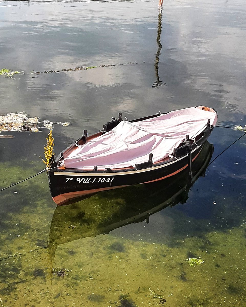 NavLgg's tweet photo. Dornas e maios 🛶🌱 no peirao de #Setefogas 📌 #Rianxo, non lembro eu que fose tamén costume poñelos nas embarcacións, pero ... por qué non? 🤔👍 https://t.co/f3504W4pKz