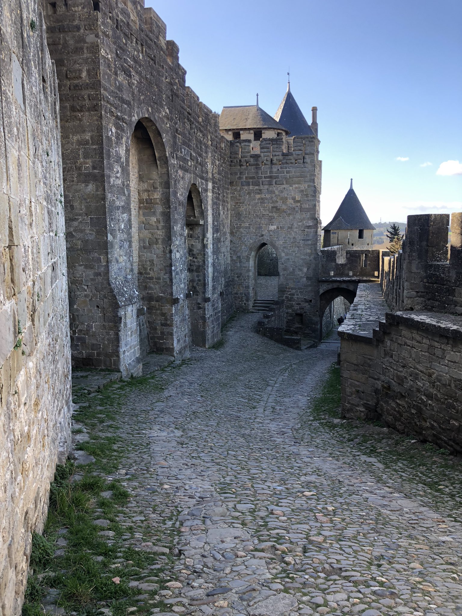 Olivier Deriviere A Plague Tale Was So Successful That They Ve Created An Amusement Park To Celebrate The Upcoming Release Of Apt Requiem T Co Qgizpat1rc Twitter