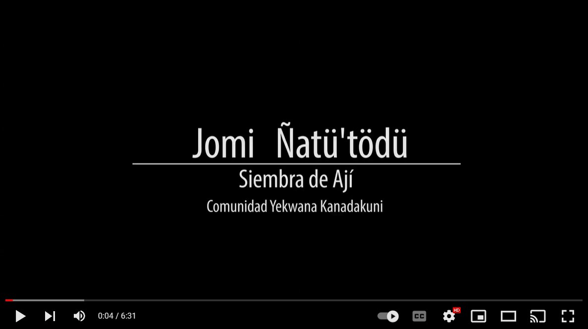 acoanaorg's tweet photo. #VideosParticipativos | Siembra AJÍ kanadakuni  https://t.co/acG1uts0vA https://t.co/azQOWWMRly