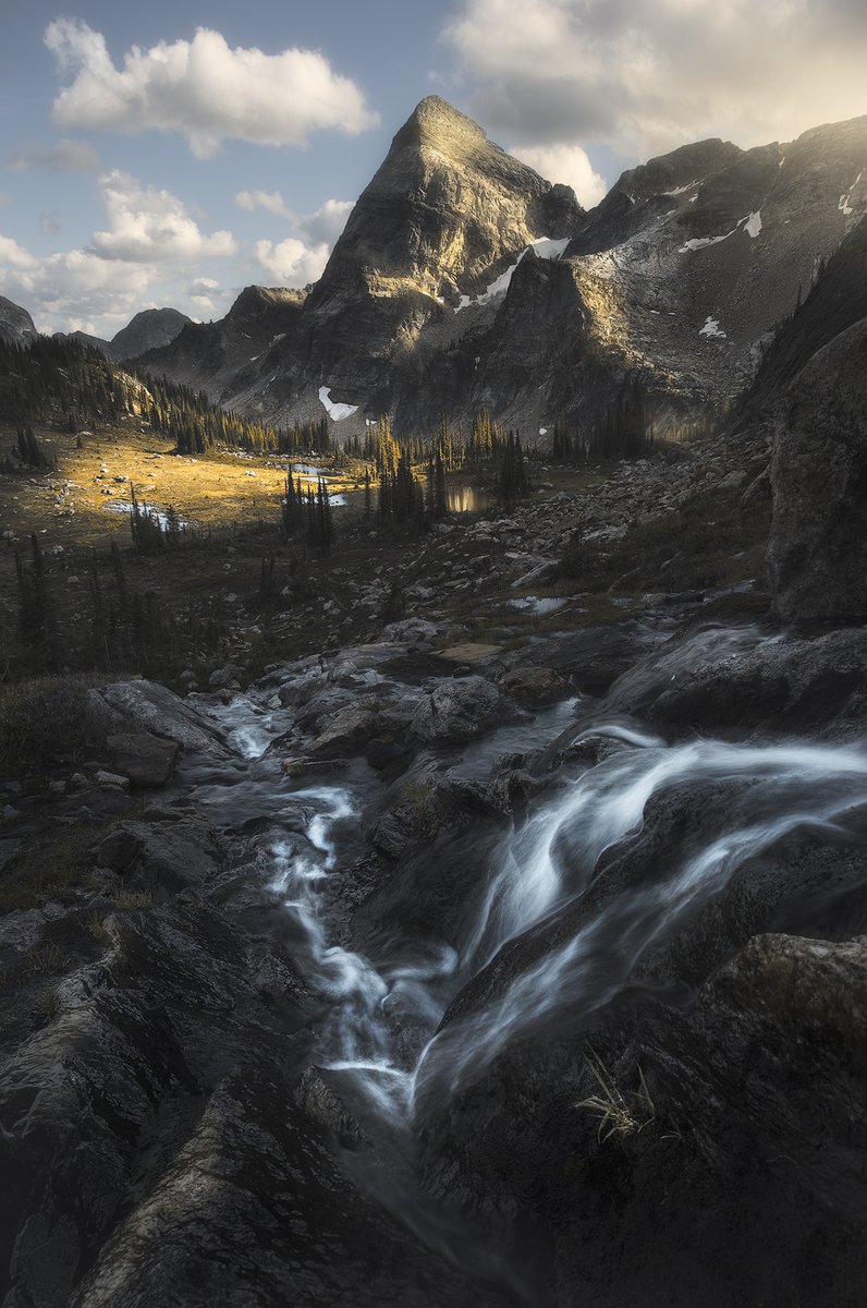 Tristan Todd tweet media