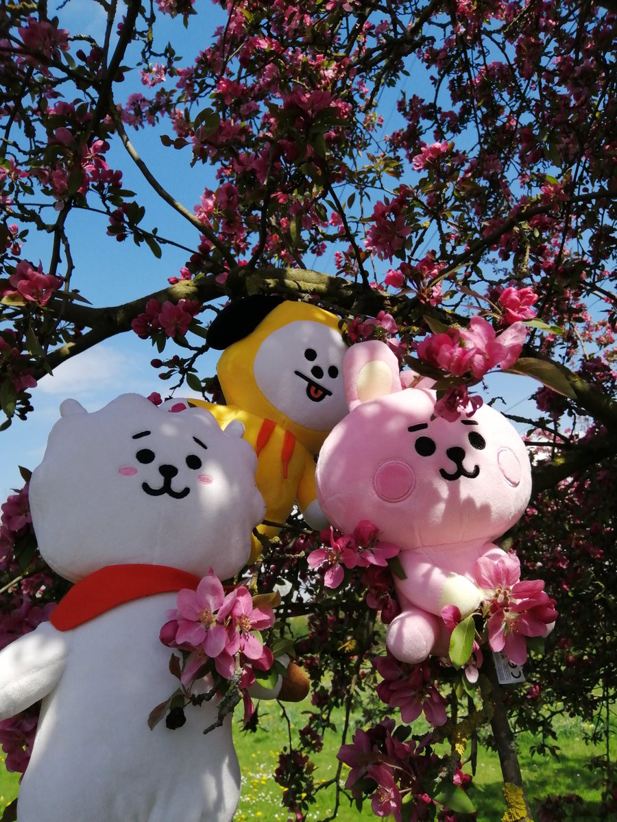 Momopii79's tweet photo. 2/x https://t.co/svGYCMr5ly
