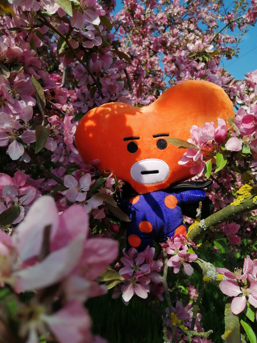 Momopii79's tweet photo. 5/x https://t.co/fcQZarmCRQ