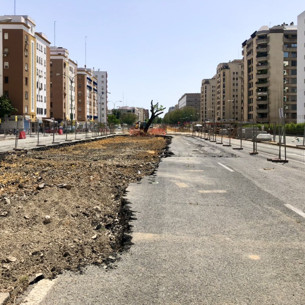 Vaya pasada <a href="/Ayto_Sevilla/">Ayuntamiento de Sevilla</a> ! Es injustificable deshacerse de árboles en los tiempos que corren. ¿Era la única solución posible? Definitivamente el nombre “Ciudad Jardín” nos viene grande. Siento absoluta vergüenza que los dirigentes de la ciudad en la que vivo hagan esto 👉🏼