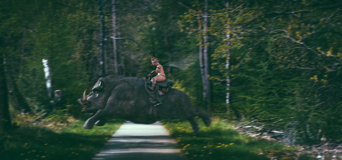 Yeeha #kingsmagic #bore #forest #fairytales #fairy #nature #magic