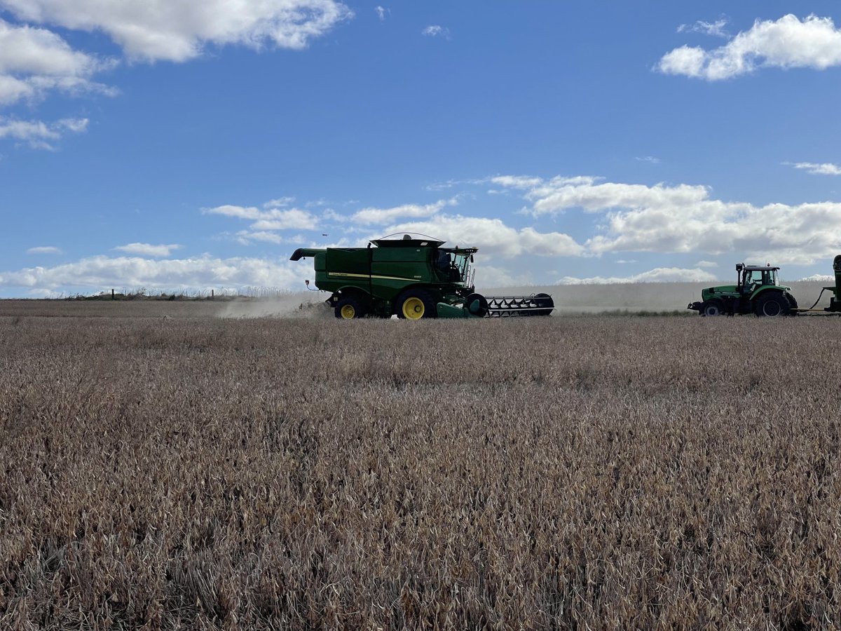 PecoAz's tweet photo. 600-700 kgs le sacó la helada a la soja 2da, pero está dando más de 1000 kgs/ha #Highlands de #Chillar Reencontrarse con el equipo de Maffeo de 25 de Mayo en esta cosecha 21-22 https://t.co/uWtRm1C2t9