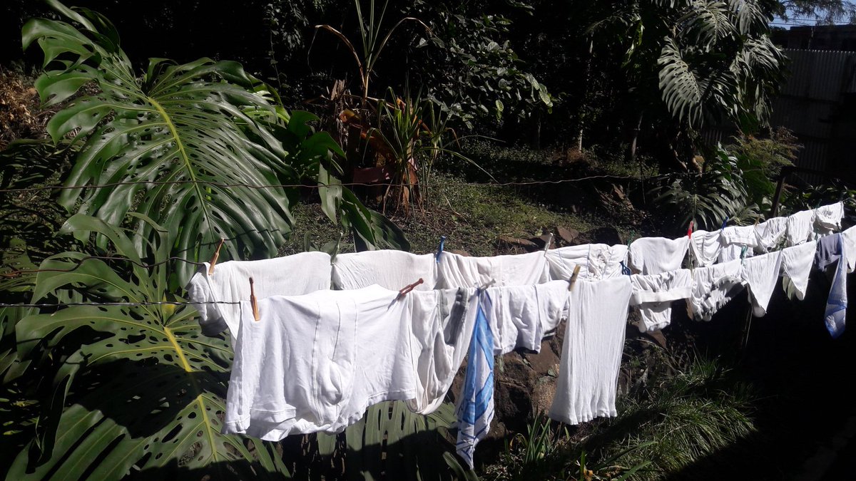 dnahinga's tweet image. During Covid, it was easy closing the main gate and restricting movement. 

Now things appear to fall apart.

All that airing of linen 😂

#Plot10 
#PlotTwist