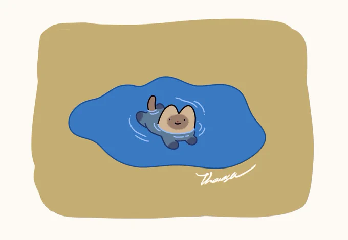good night 