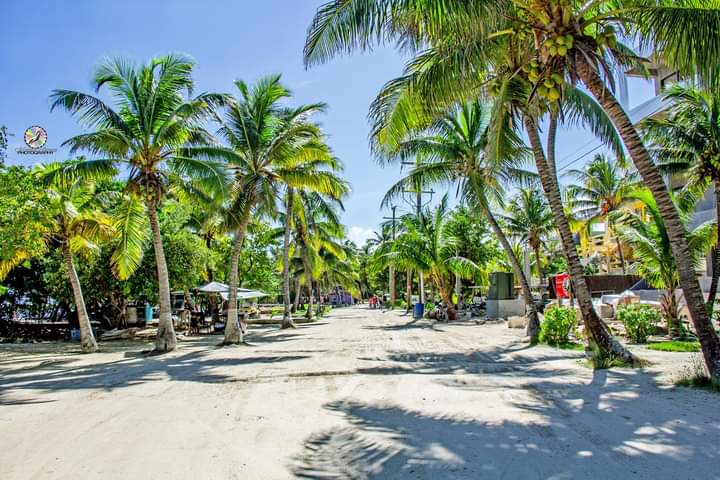 Roberto00436790's tweet photo. Visit our website at https://t.co/yKmennokQI to book your Belize vacation. 
#bookyourstaywithustoday #belizeparadise #belizetravel #belizefishing #belizesailing #belizeislands https://t.co/E1SW0N707T