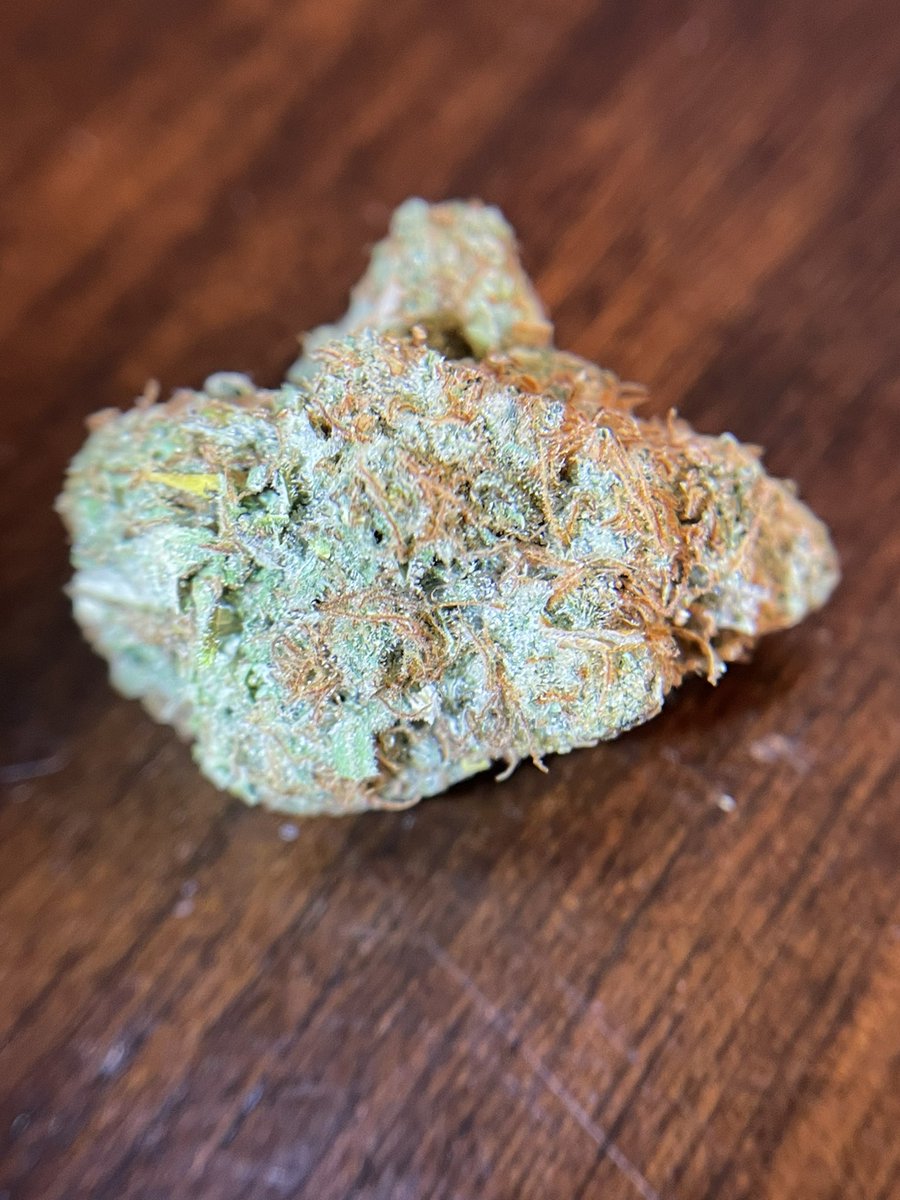 216vin's tweet photo. Sensi Star 🌳🌟😶‍🌫️ https://t.co/K6BQUtK8S4