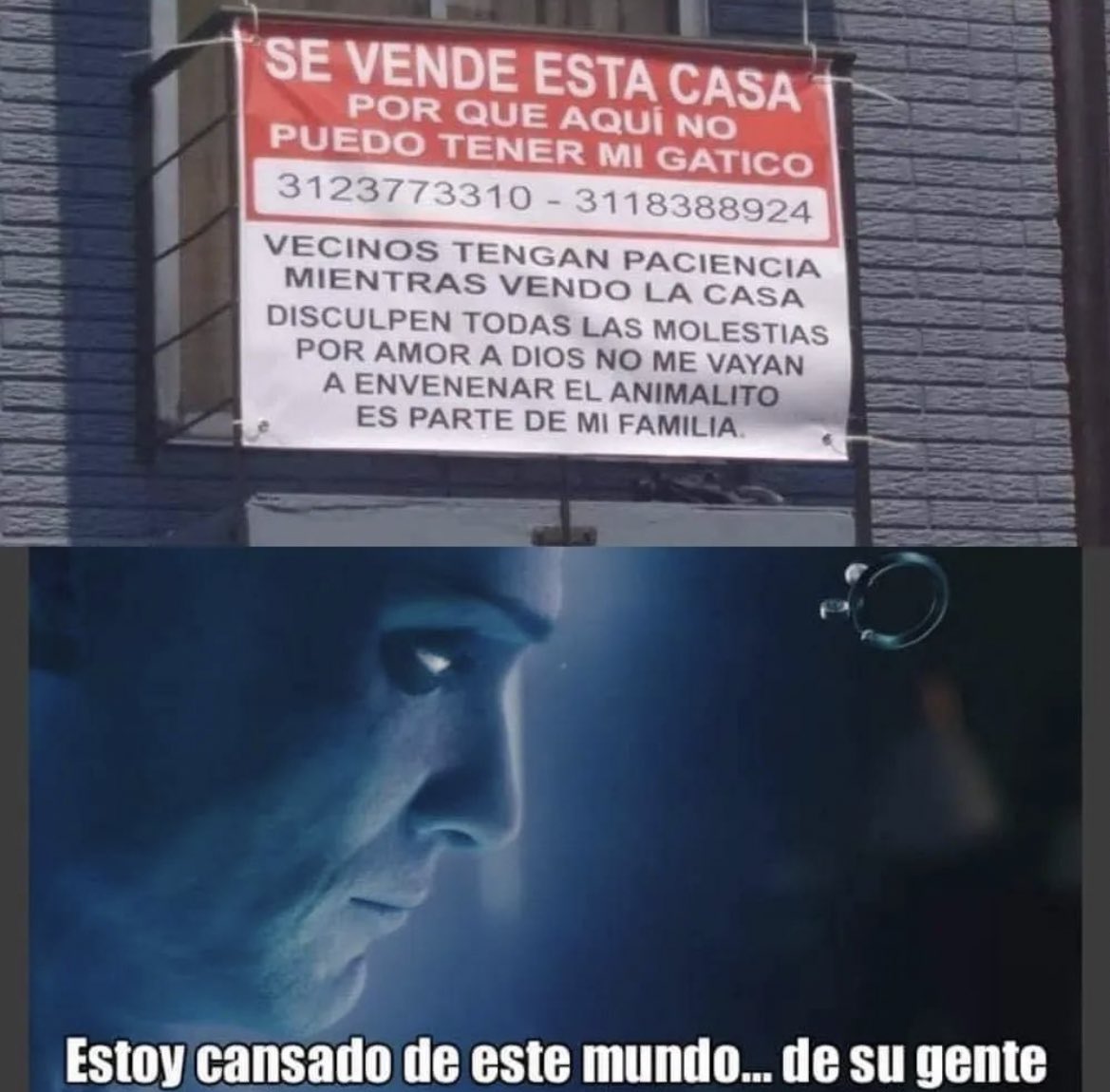 Lomitos Suavecitos tweet media