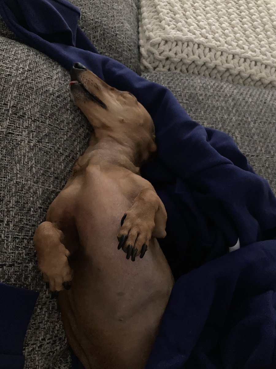 Sebastian tweet media