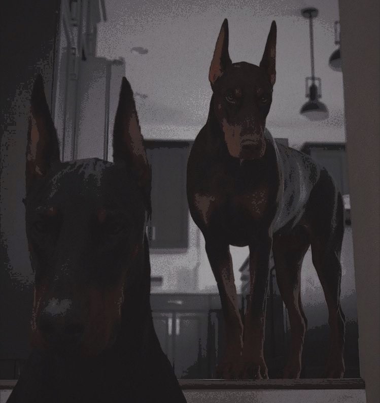 ⠀   ⠀ ⠀

      “̲ 𝑡𝑤𝑜 𝑠𝑐𝑜𝑢𝑛𝑑𝑟𝑒𝑙𝑠 𝑑𝑒𝑚𝑎𝑛𝑑𝑖𝑛𝑔 𝑏𝑟𝑒𝑎𝑘𝑓𝑎𝑠𝑡.
⠀   ⠀ ⠀