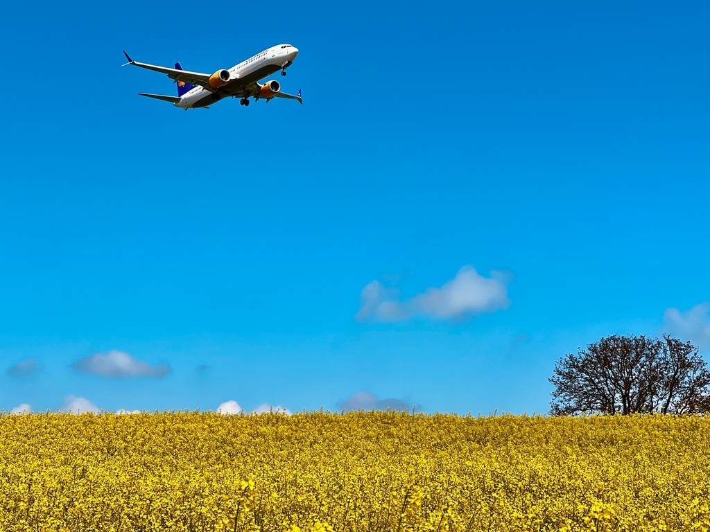 Landung im Blütenmeer ....

⁣#Rapsfeld #Frühling #Umgebungerkunden #ZRH #zrhspotting